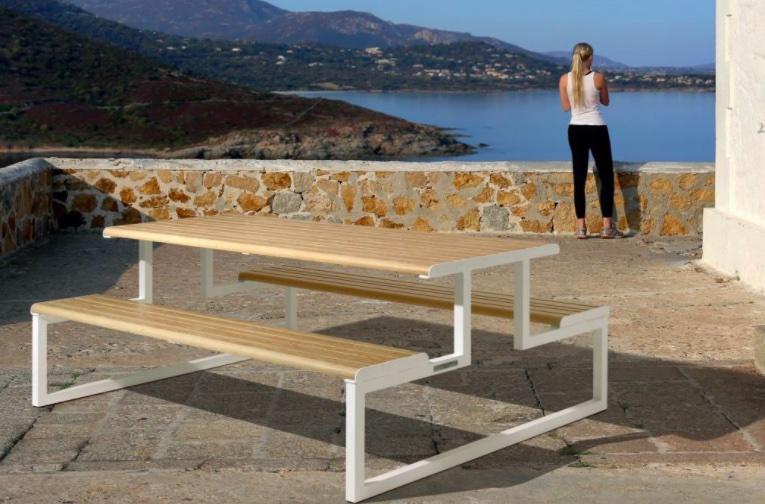 PICKNICKTAFEL H24 - PMS Projectinrichting
