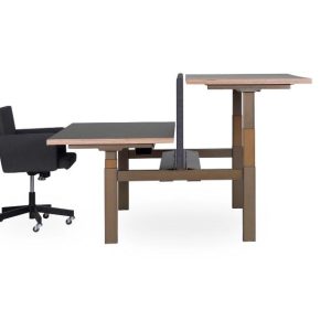 SIT-STAND DUO OFFICE DESK - PMS Projectinrichting