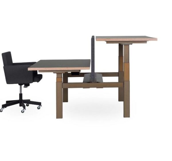 SIT-STAND DUO OFFICE DESK - PMS Projectinrichting
